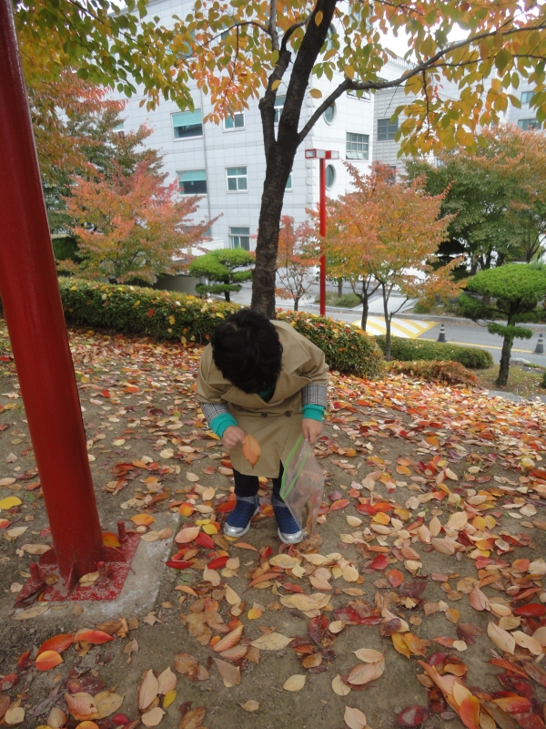  ũ  ̹ Ŭϼ!