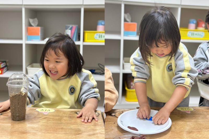 ���� ũ��� ������ �̹����� Ŭ���ϼ���!