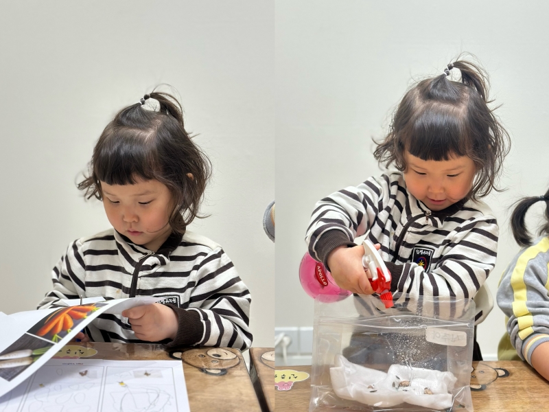 ���� ũ��� ������ �̹����� Ŭ���ϼ���!