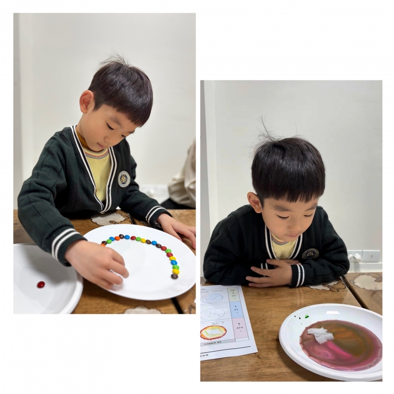 ���� ũ��� ������ �̹����� Ŭ���ϼ���!