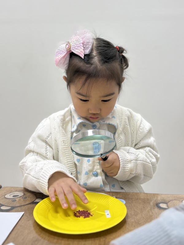 ���� ũ��� ������ �̹����� Ŭ���ϼ���!