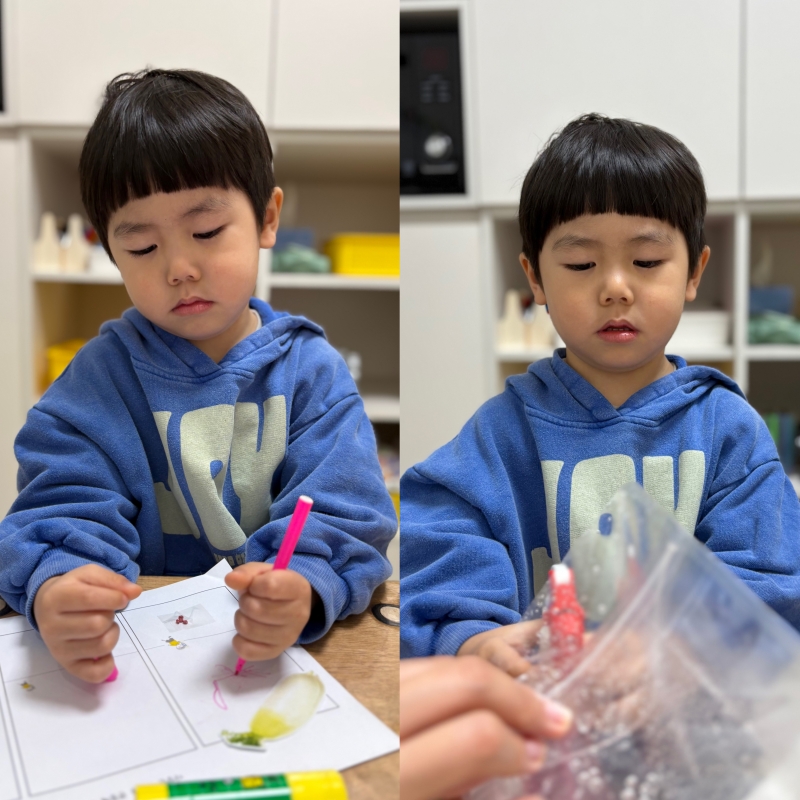 ���� ũ��� ������ �̹����� Ŭ���ϼ���!