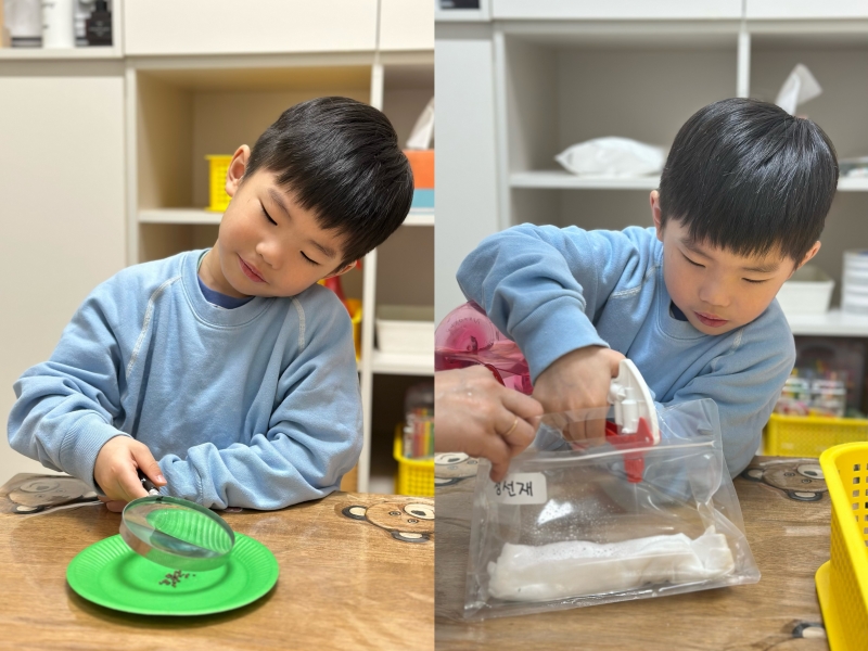 ���� ũ��� ������ �̹����� Ŭ���ϼ���!