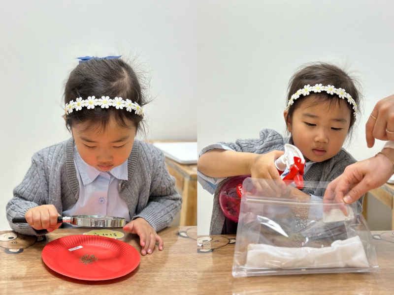 ���� ũ��� ������ �̹����� Ŭ���ϼ���!