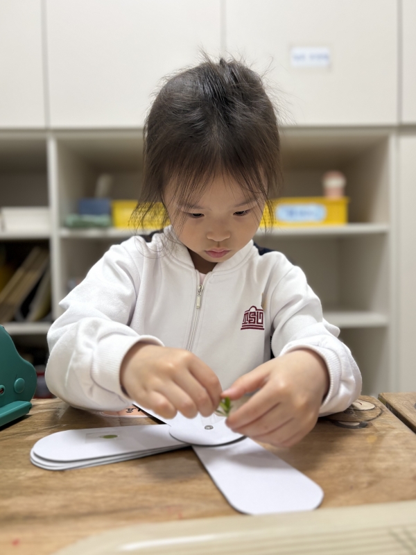 ���� ũ��� ������ �̹����� Ŭ���ϼ���!