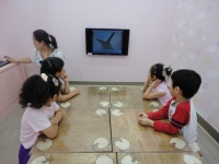 2012.6.9 âα׷...Խù ̹