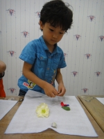 2013.6.29 âα...Խù ̹