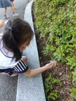 2019.5.29 α...Խù ̹