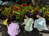 26.04.25 ���米�� ��...�Խù� �̹���