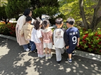 26.04.25 ���米�� ��...�Խù� �̹���